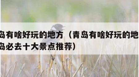 青岛有啥好玩的地方（青岛有啥好玩的地方?青岛必去十大景点推荐）