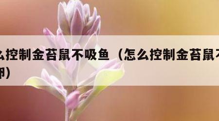 怎么控制金苔鼠不吸鱼（怎么控制金苔鼠不吸鱼卵）