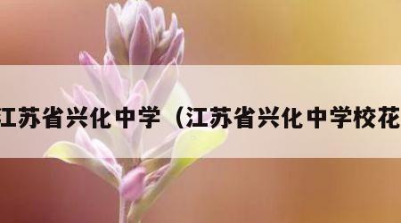 江苏省兴化中学（江苏省兴化中学校花）