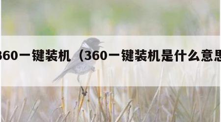 360一键装机（360一键装机是什么意思）