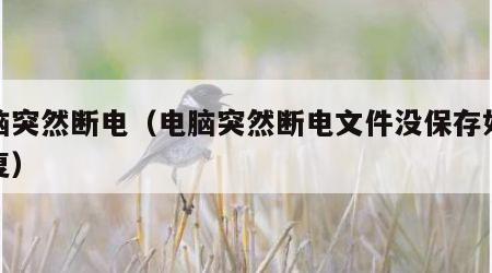 电脑突然断电（电脑突然断电文件没保存如何恢复）