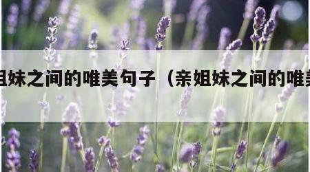 亲姐妹之间的唯美句子（亲姐妹之间的唯美词）