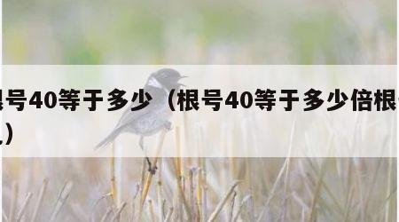根号40等于多少（根号40等于多少倍根号几）