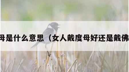 度母是什么意思（女人戴度母好还是戴佛好）