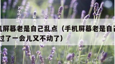 手机屏幕老是自己乱点（手机屏幕老是自己乱点,过了一会儿又不动了）