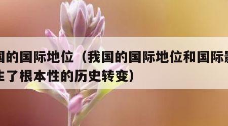 我国的国际地位（我国的国际地位和国际影响发生了根本性的历史转变）