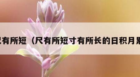 尺有所短（尺有所短寸有所长的日积月累）