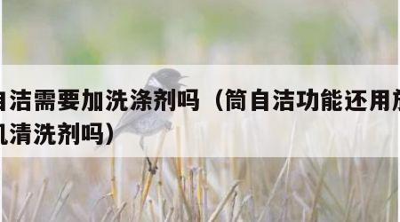 筒自洁需要加洗涤剂吗（筒自洁功能还用放洗衣机清洗剂吗）
