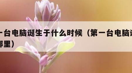 第一台电脑诞生于什么时候（第一台电脑诞生在哪里）