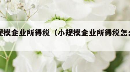 小规模企业所得税（小规模企业所得税怎么算）