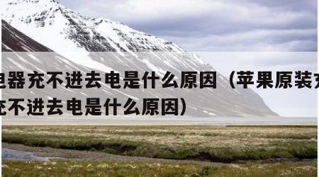 充电器充不进去电是什么原因（苹果原装充电器充不进去电是什么原因）