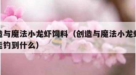 创造与魔法小龙虾饲料（创造与魔法小龙虾饲料能钓到什么）