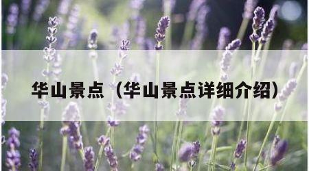 华山景点（华山景点详细介绍）