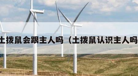 土拨鼠会跟主人吗（土拨鼠认识主人吗）