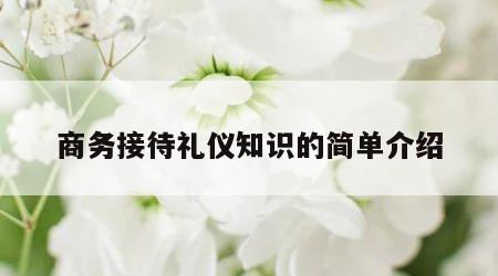 商务接待礼仪知识的简单介绍