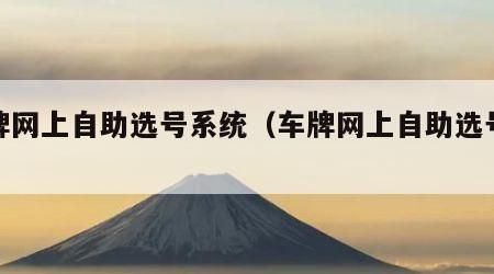 车牌网上自助选号系统（车牌网上自助选号流程）