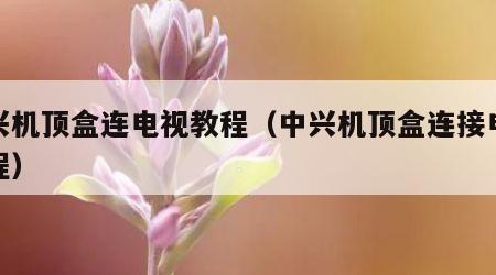 中兴机顶盒连电视教程（中兴机顶盒连接电视教程）
