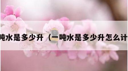 一吨水是多少升（一吨水是多少升怎么计算）