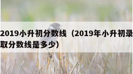 2019小升初分数线（2019年小升初录取分数线是多少）