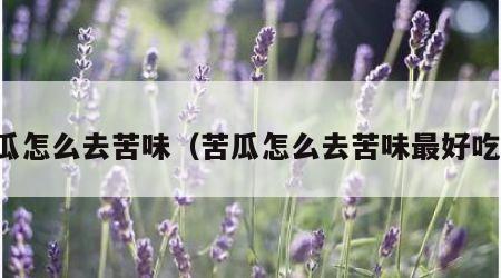 苦瓜怎么去苦味（苦瓜怎么去苦味最好吃法）