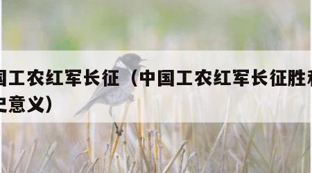 中国工农红军长征（中国工农红军长征胜利的历史意义）