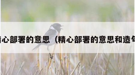 精心部署的意思（精心部署的意思和造句）
