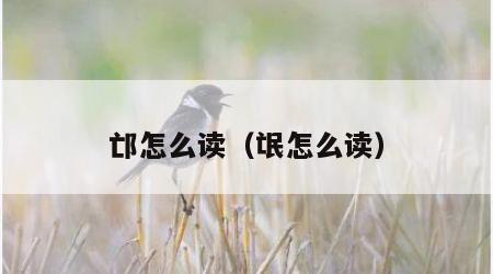邙怎么读（氓怎么读）