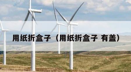 用纸折盒子（用纸折盒子 有盖）
