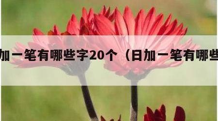 日加一笔有哪些字20个（日加一笔有哪些字?）