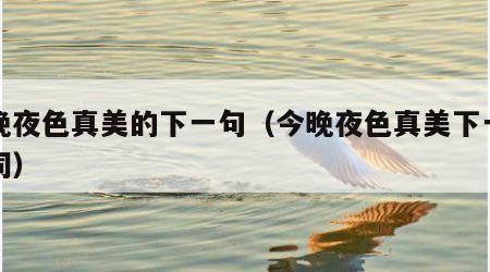 今晚夜色真美的下一句（今晚夜色真美下一句歌词）