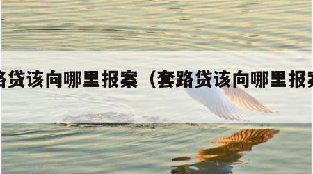 套路贷该向哪里报案（套路贷该向哪里报案呢）