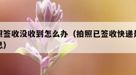 拍照签收没收到怎么办（拍照已签收快递是啥意思）