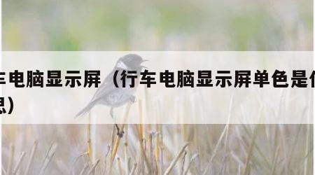 行车电脑显示屏（行车电脑显示屏单色是什么意思）