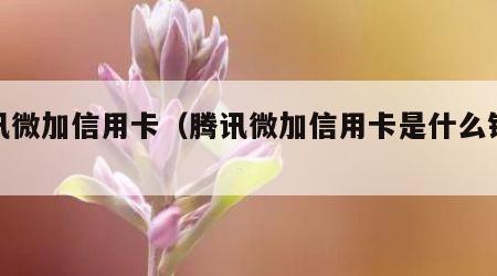 腾讯微加信用卡（腾讯微加信用卡是什么银行的）