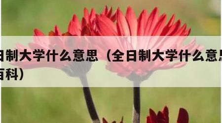 全日制大学什么意思（全日制大学什么意思百度百科）