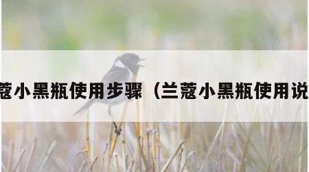 兰蔻小黑瓶使用步骤（兰蔻小黑瓶使用说明）