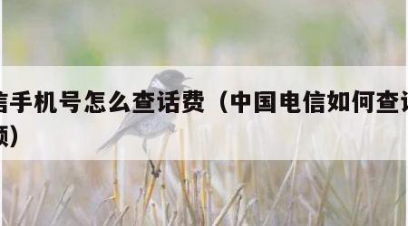 电信手机号怎么查话费（中国电信如何查话费余额）