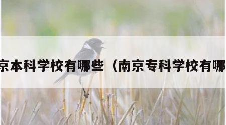 南京本科学校有哪些（南京专科学校有哪些）