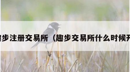 趣步注册交易所（趣步交易所什么时候开）