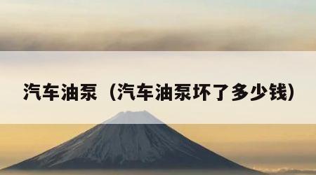 汽车油泵（汽车油泵坏了多少钱）