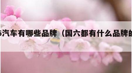 国6汽车有哪些品牌（国六都有什么品牌的车）