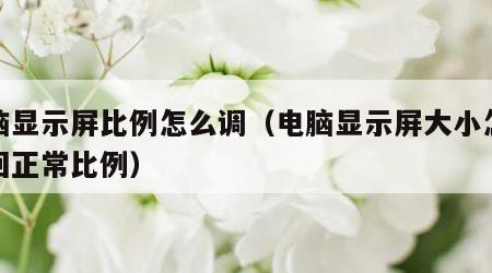 电脑显示屏比例怎么调（电脑显示屏大小怎么调回正常比例）
