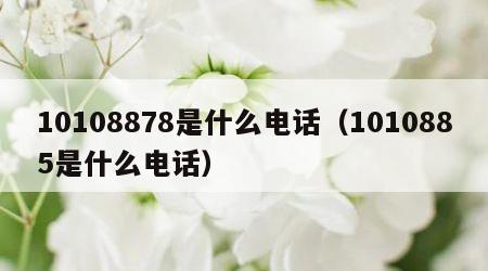 10108878是什么电话（1010885是什么电话）