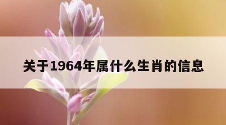 关于1964年属什么生肖的信息