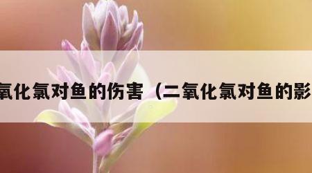 二氧化氯对鱼的伤害（二氧化氯对鱼的影响）