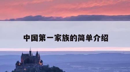 中国第一家族的简单介绍