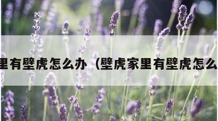 家里有壁虎怎么办（壁虎家里有壁虎怎么办）