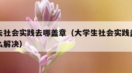 没去社会实践去哪盖章（大学生社会实践盖章怎么解决）