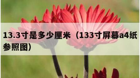 13.3寸是多少厘米（133寸屏幕a4纸参照图）