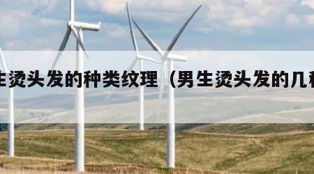 男生烫头发的种类纹理（男生烫头发的几种类型）